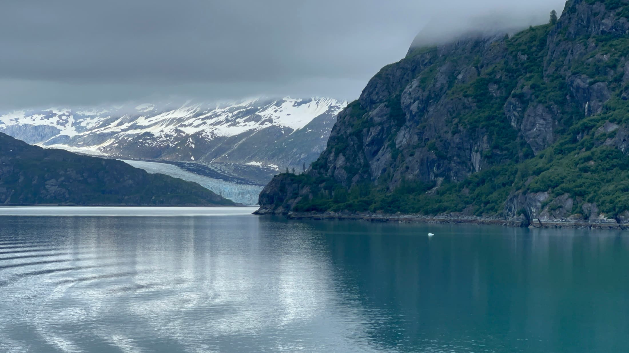 The blue-white face of Lamplugh Glacier flowing down between forested mountain slopes into the calm waters of Tarr Inlet in Glacier Bay National Park and Preserve, Alaska.