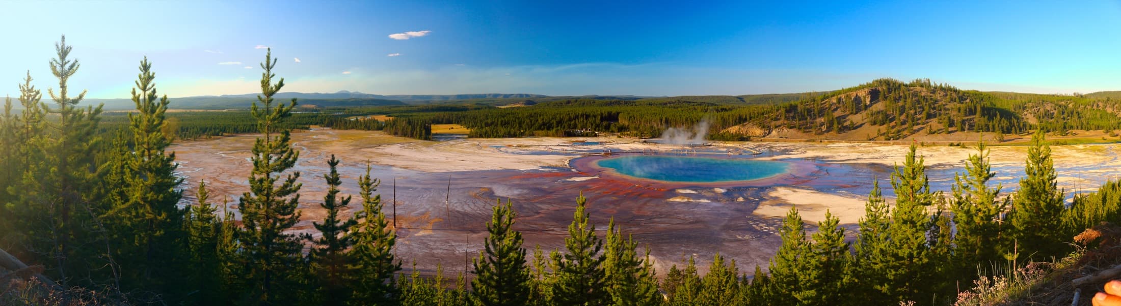 The Grand Prismatic Spring in Yellowstone National Park viewed from the southeast hillside, its vivid blue center ringed by orange and yellow microbial mats and rising steam, set against the surrounding forest and sky.