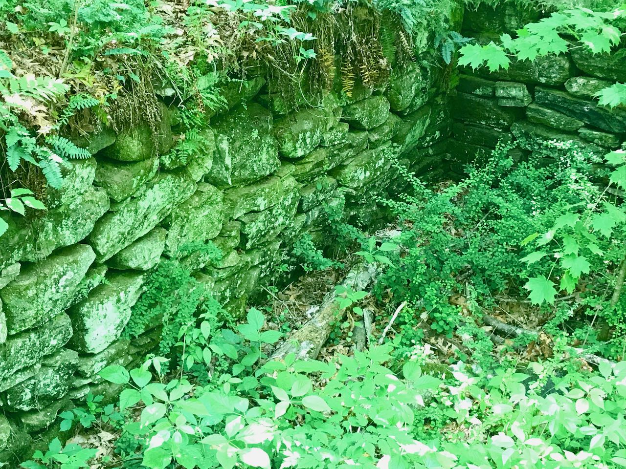 Gay City State Park