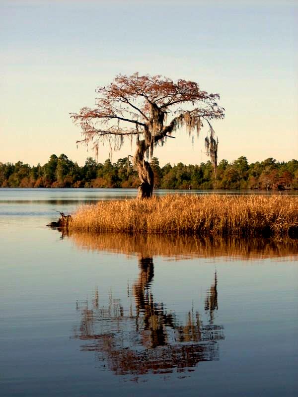 Singletary Lake State Park