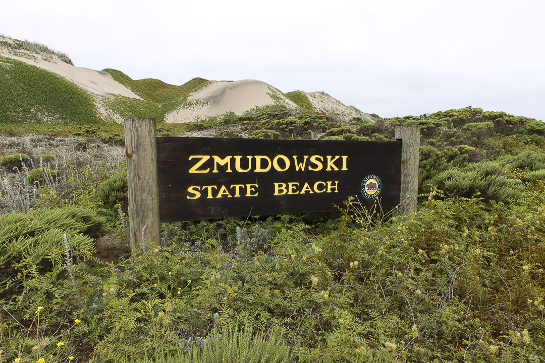 Zmudowski State Beach