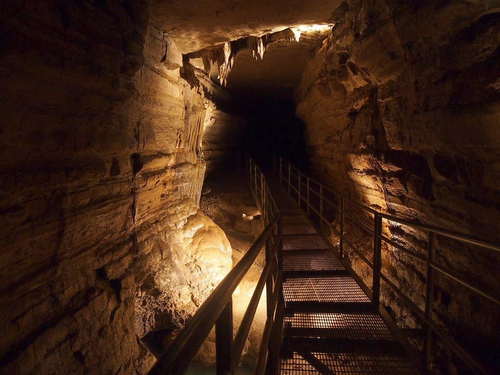 Forestville/Mystery Cave State Park