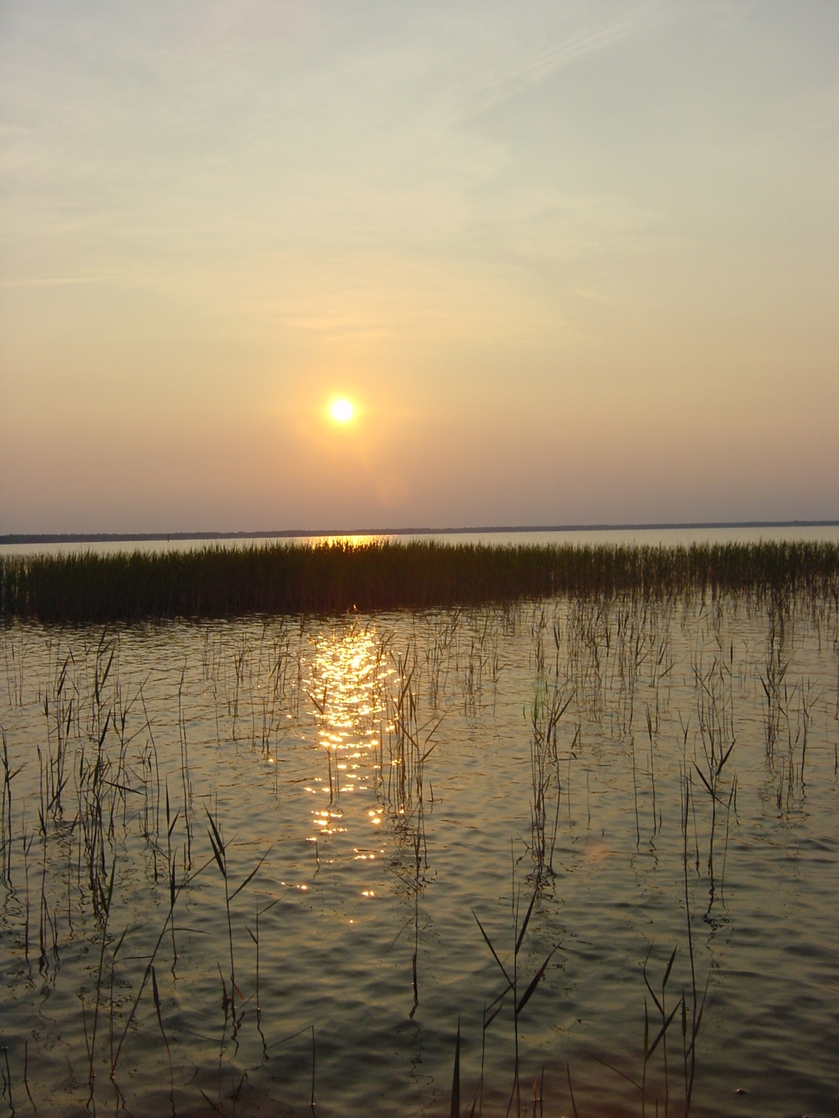Lake Waccamaw State Park