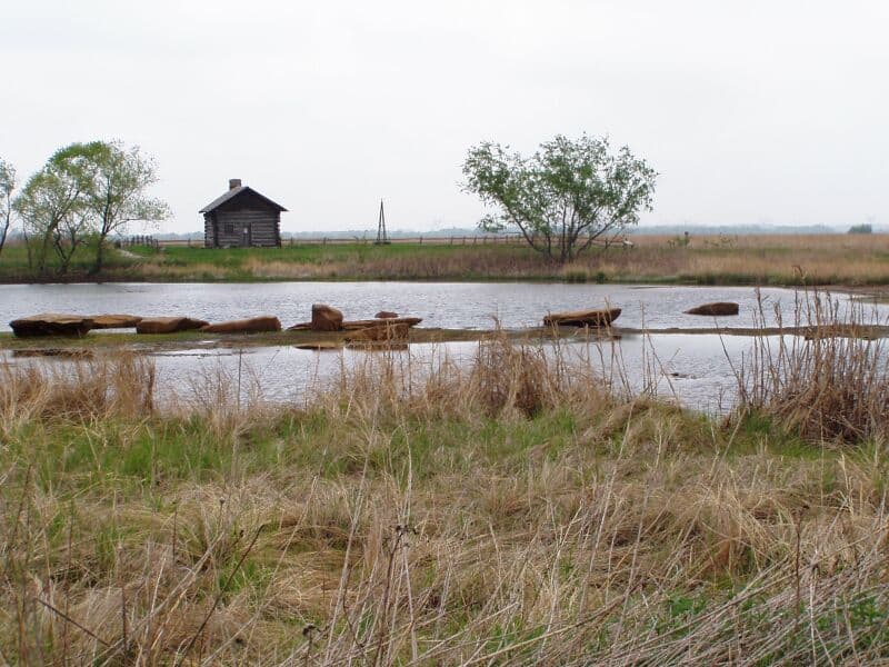 Goose Lake Prairie State Natural Area