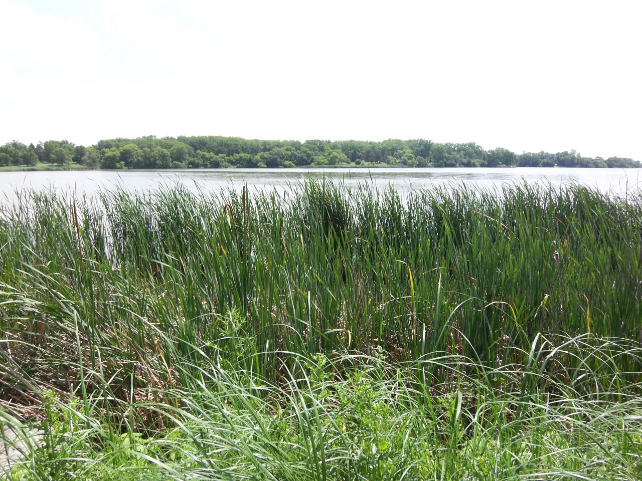 Oakwood Lakes State Park