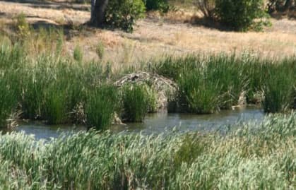 Benicia State Recreation Area