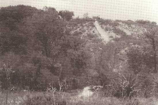 Mound Key Archaeological State Park