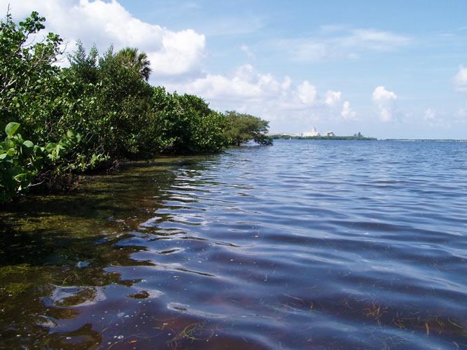 Terra Ceia Preserve State Park