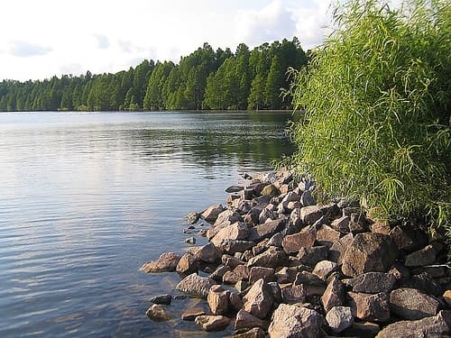 Pettigrew State Park