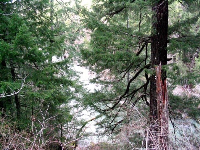 Grizzly Creek Redwoods State Park