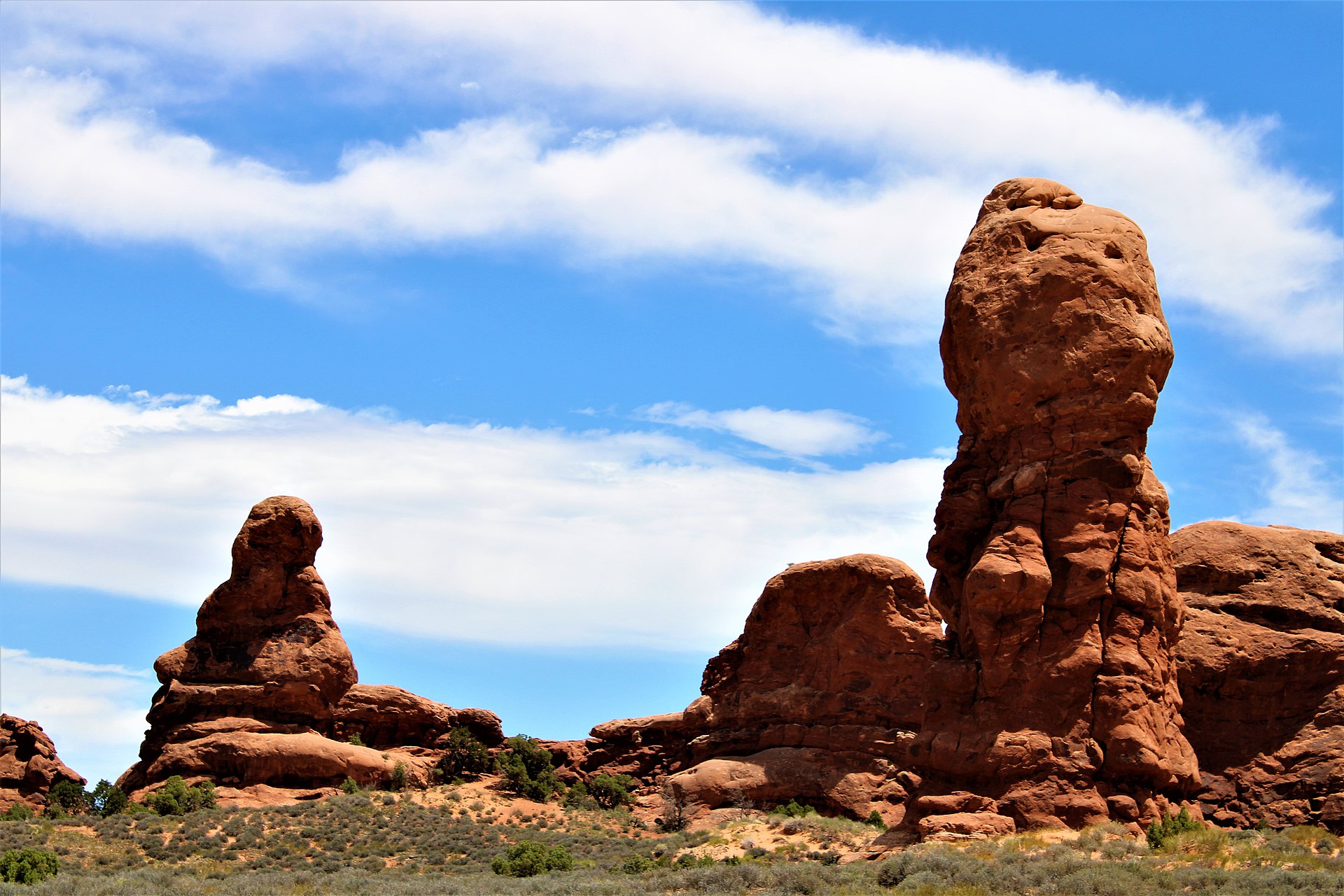The sandstone arches and fins of the Windows Section