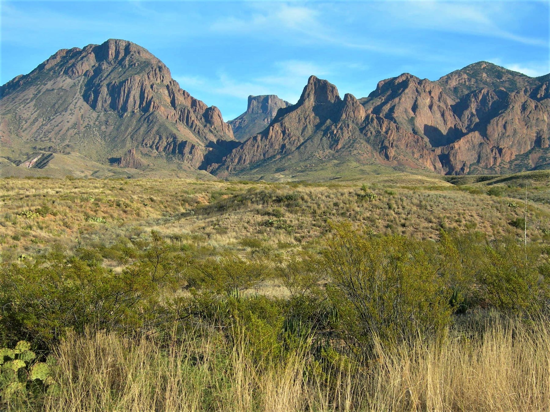 The Chisos Mountains rising above the Chihuahuan Desert in Big Bend