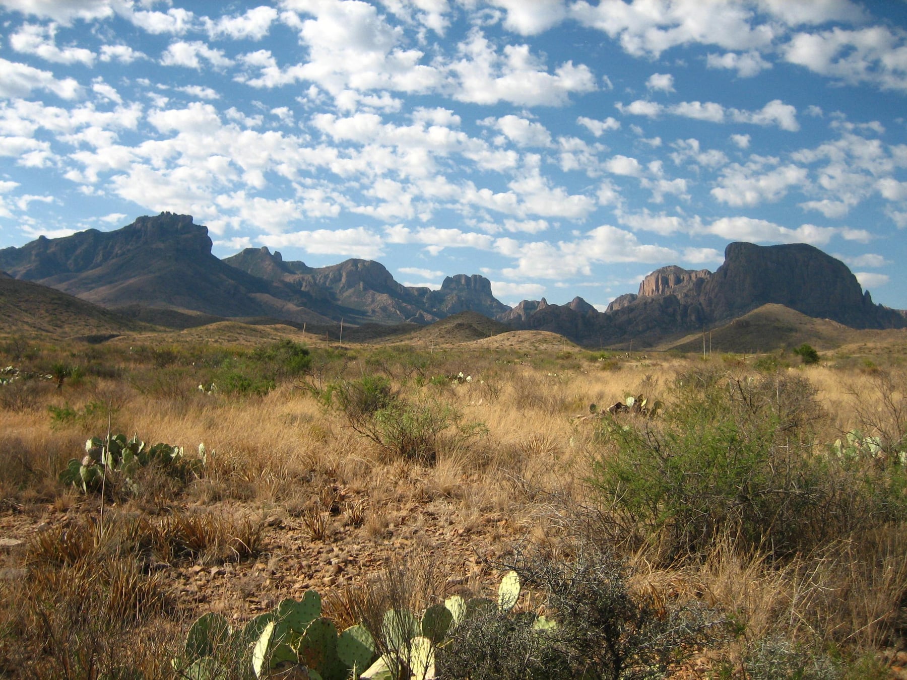 Open Chihuahuan Desert scenery in Big Bend