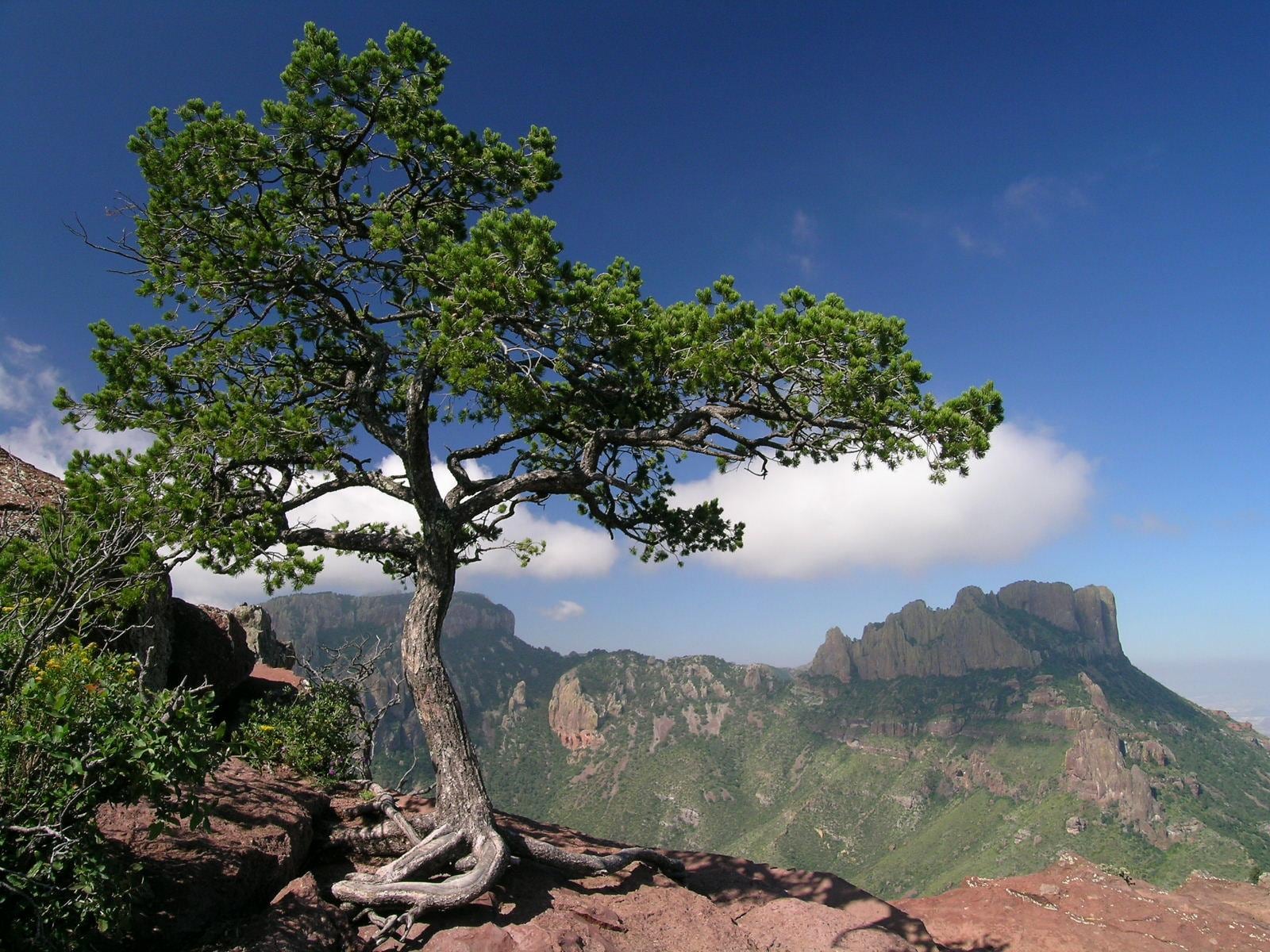 View from the top of the Lost Mine Trail in the Chisos Mountains