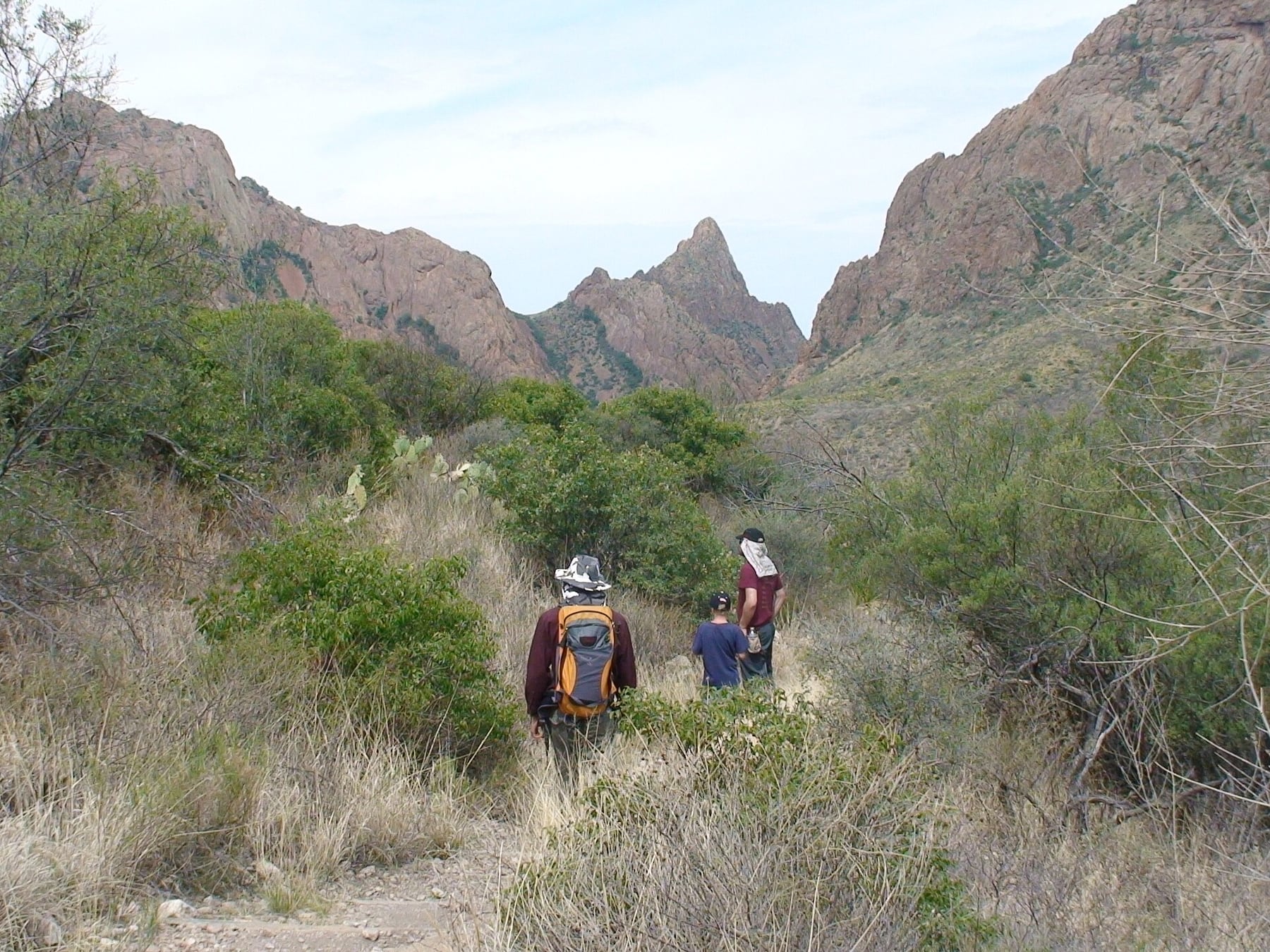 Hikers on the Window Trail in Big Bend National Park