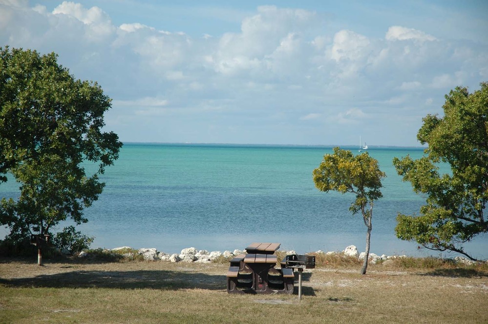 A shaded Elliott Key campground near the water