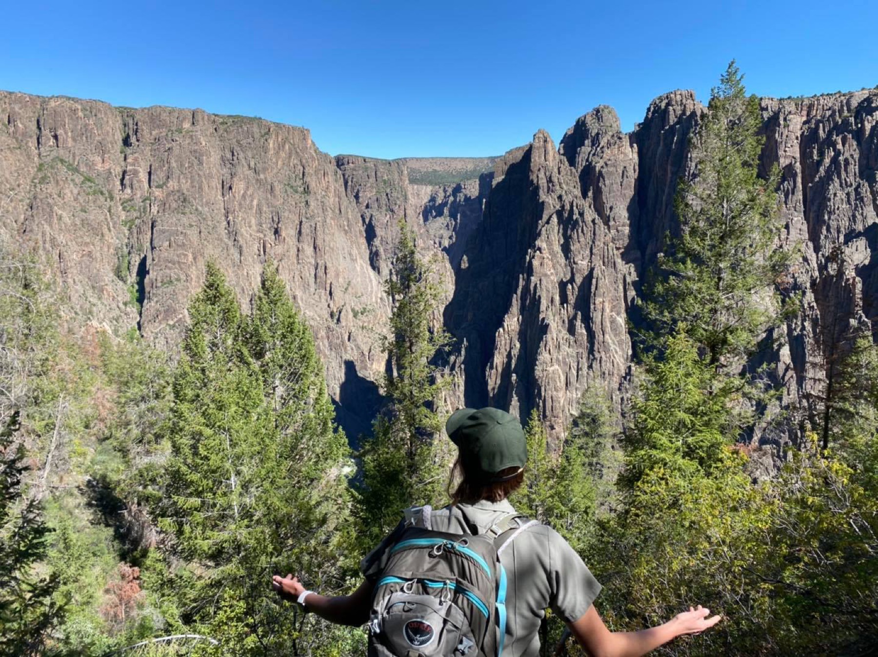A ranger looking up at rock walls in the inner canyon