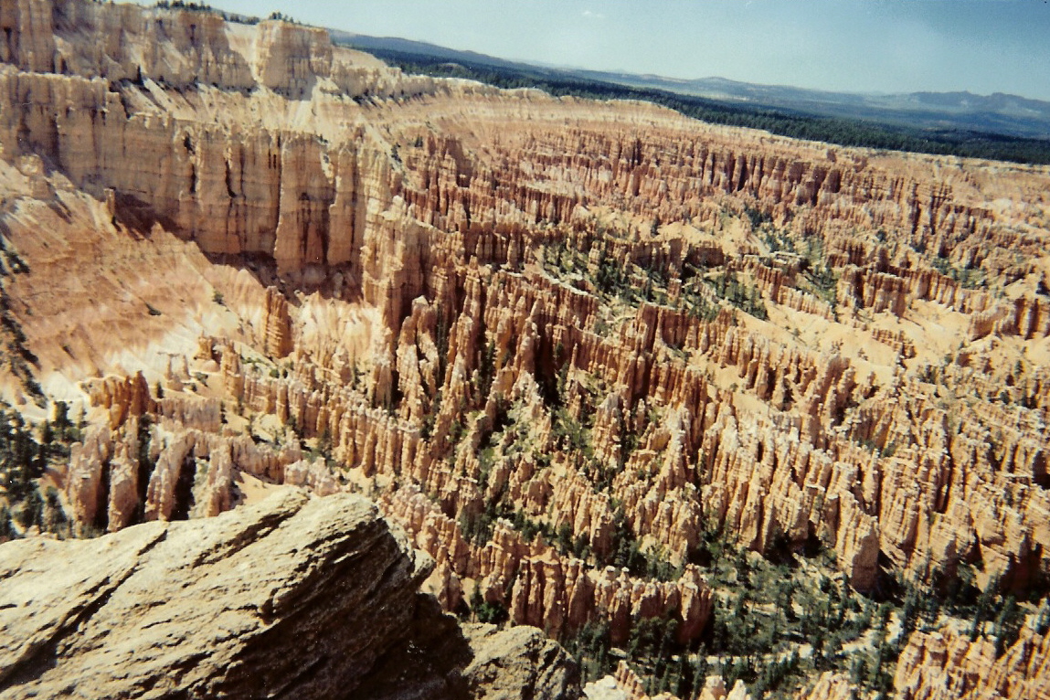 A wide view across the Bryce Amphitheater from Bryce Point