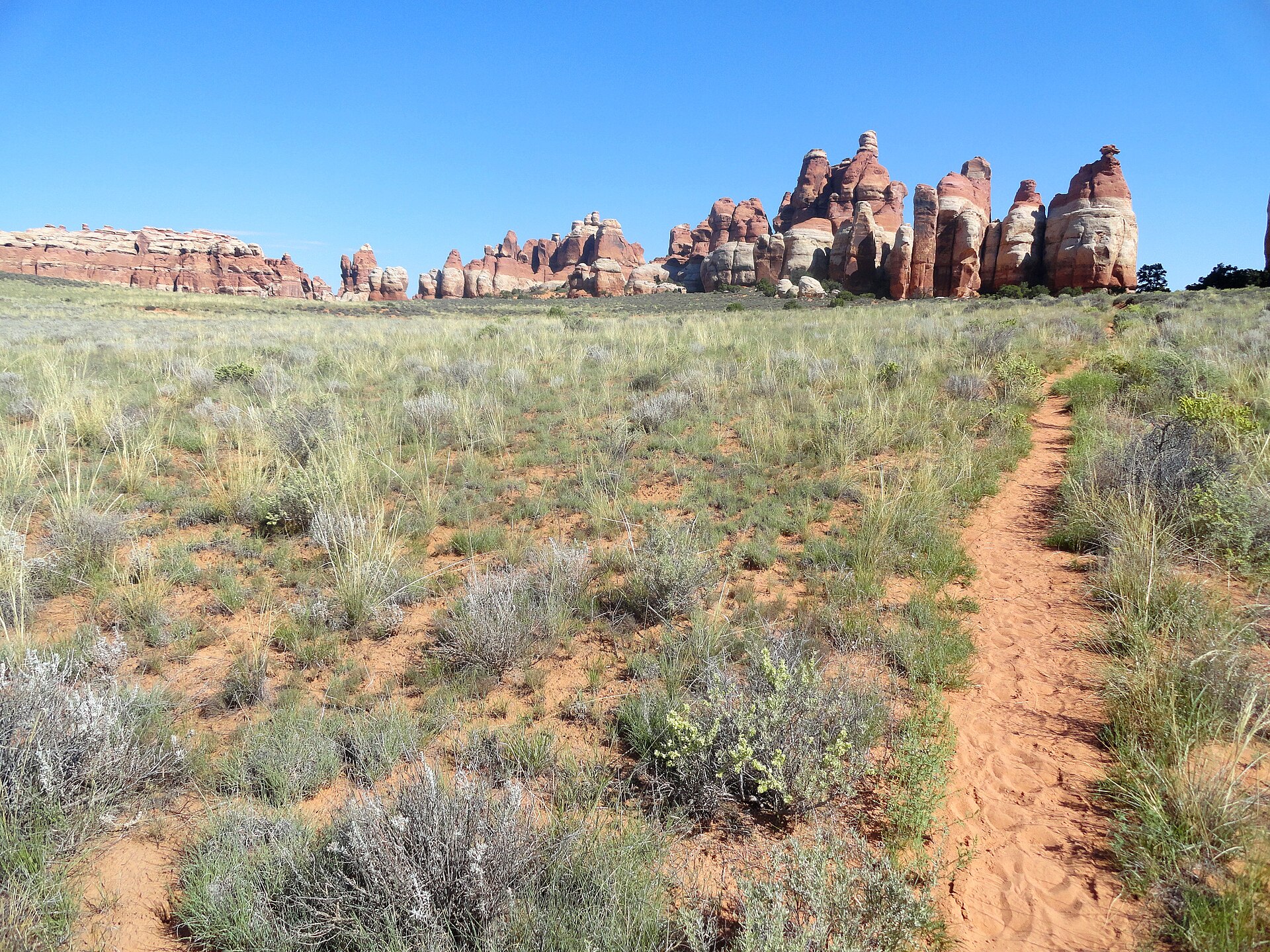 Chesler Park's sandstone needles rising from desert grass