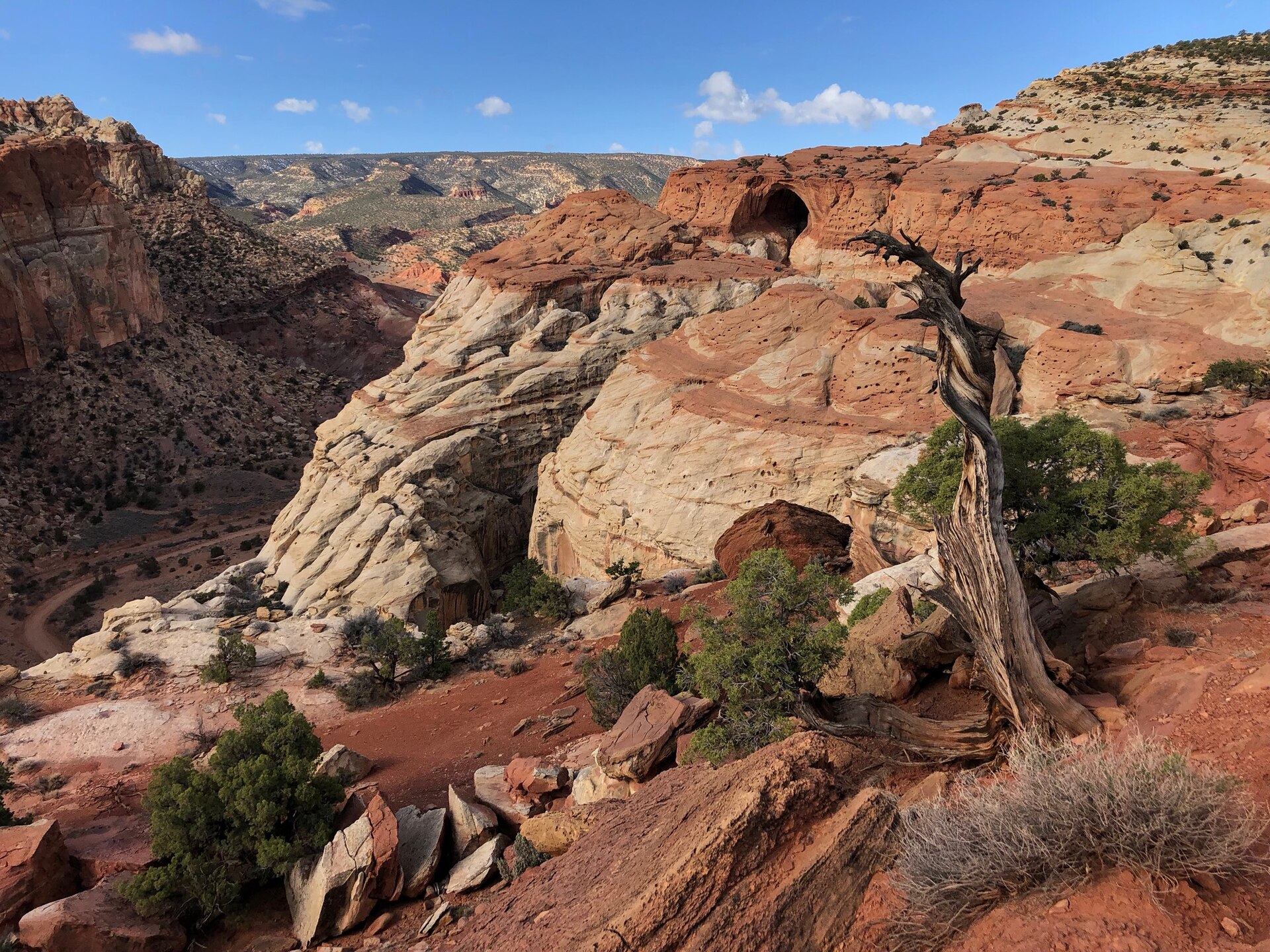 Cassidy Arch spanning a sandstone wall in Capitol Reef