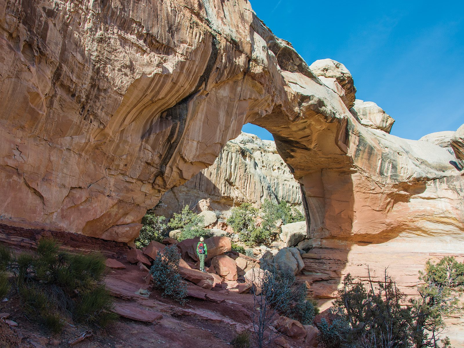 A hiker standing beside Hickman Bridge in Capitol Reef