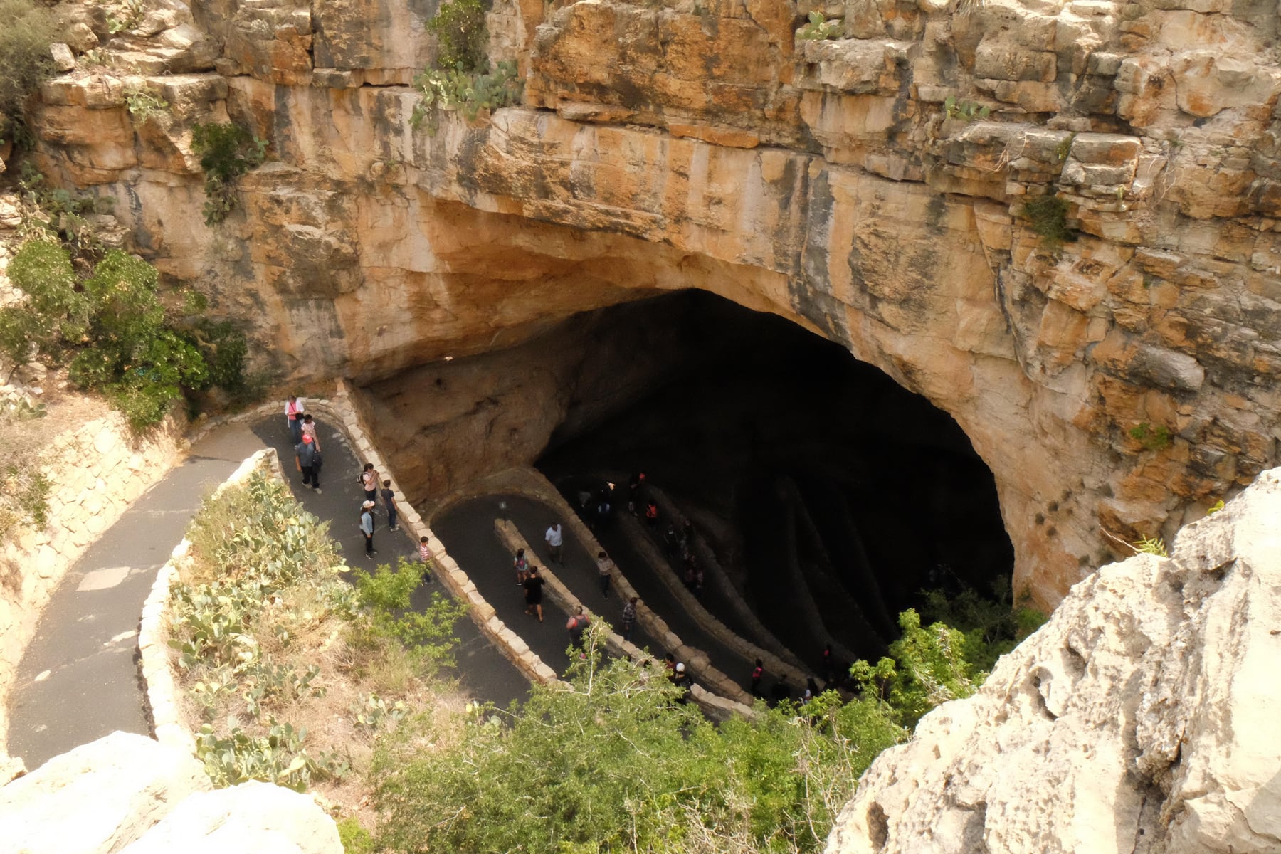 Visitors descending the Natural Entrance trail into Carlsbad Cavern