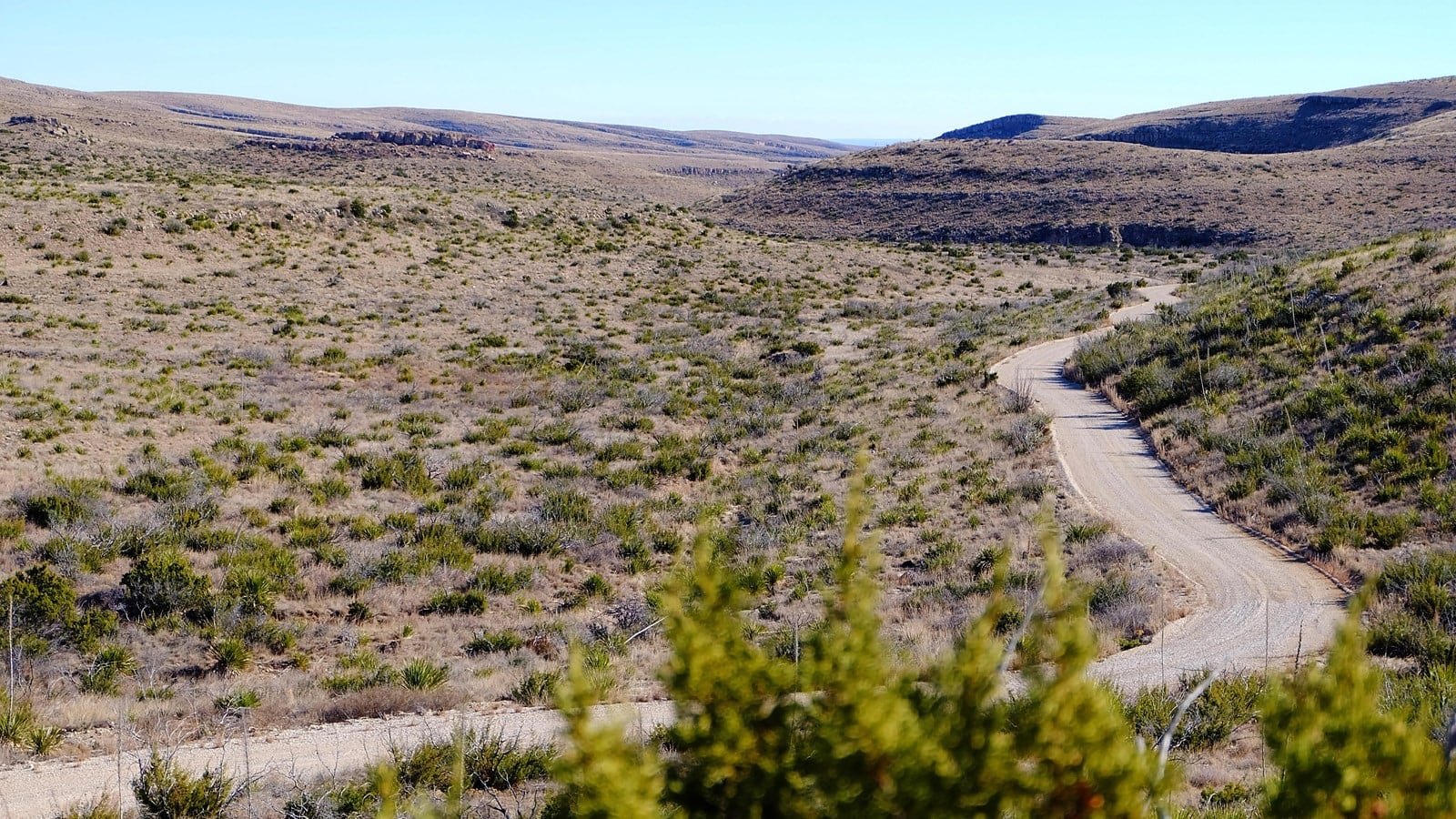 Walnut Canyon Desert Drive winding through Chihuahuan Desert