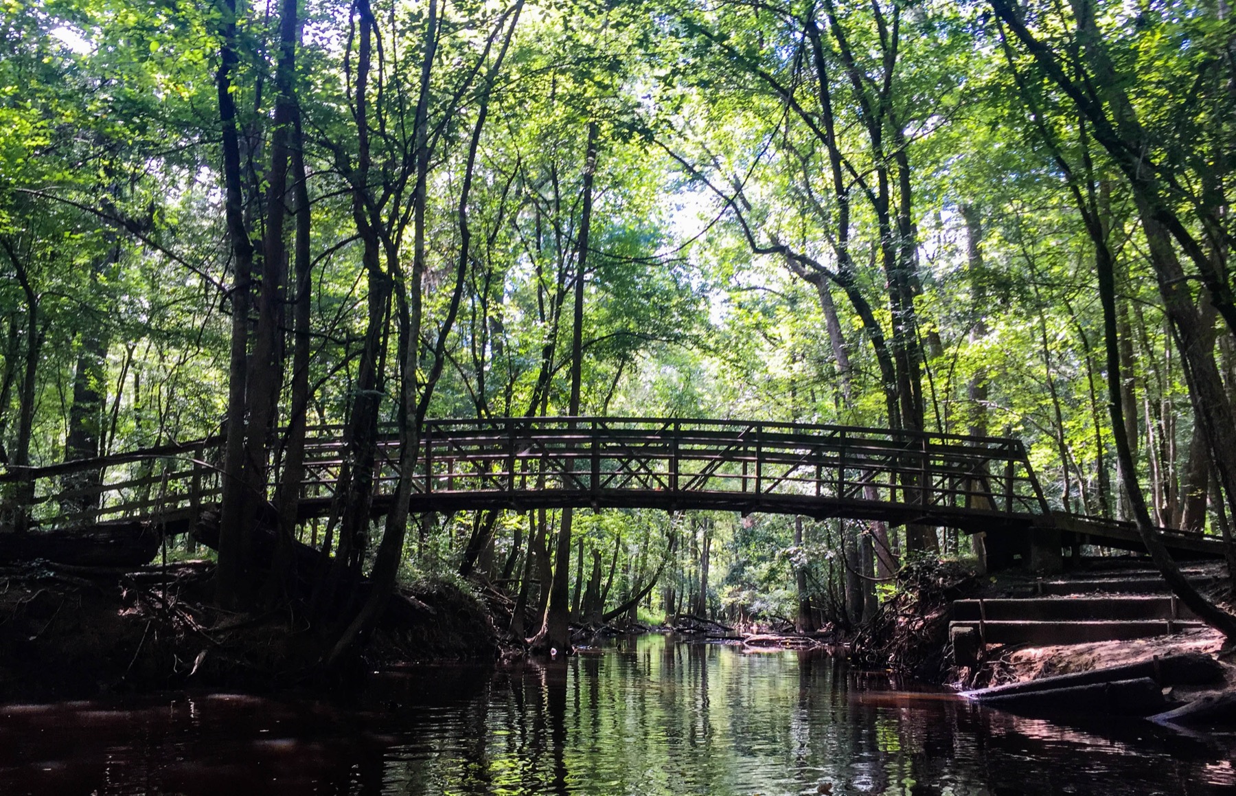 A bridge over South Cedar Creek in Congaree
