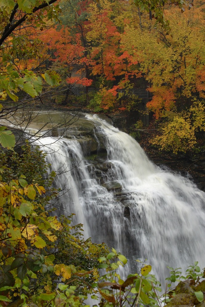 Brandywine Falls dropping through autumn forest