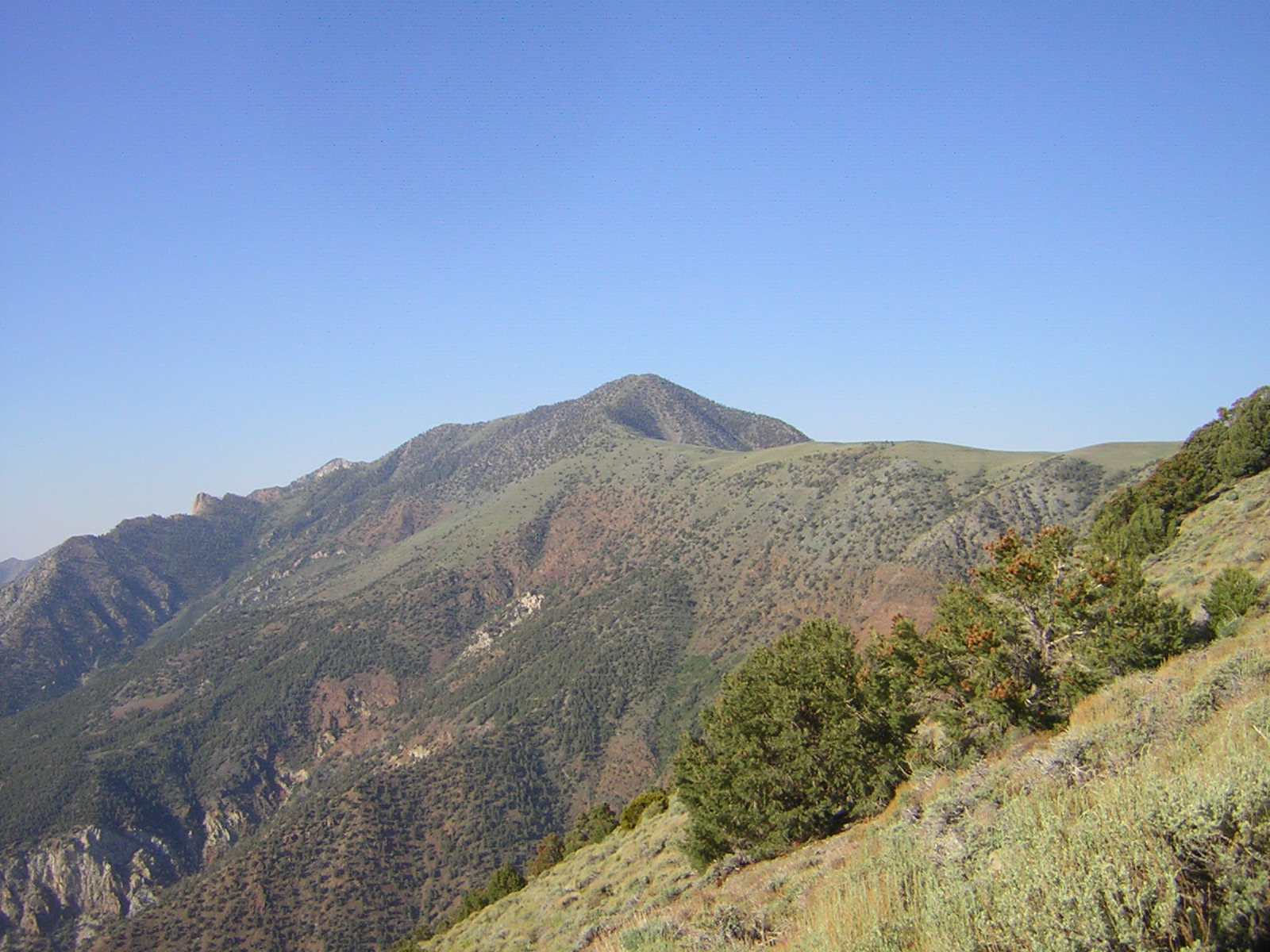 Telescope Peak rising above Death Valley National Park
