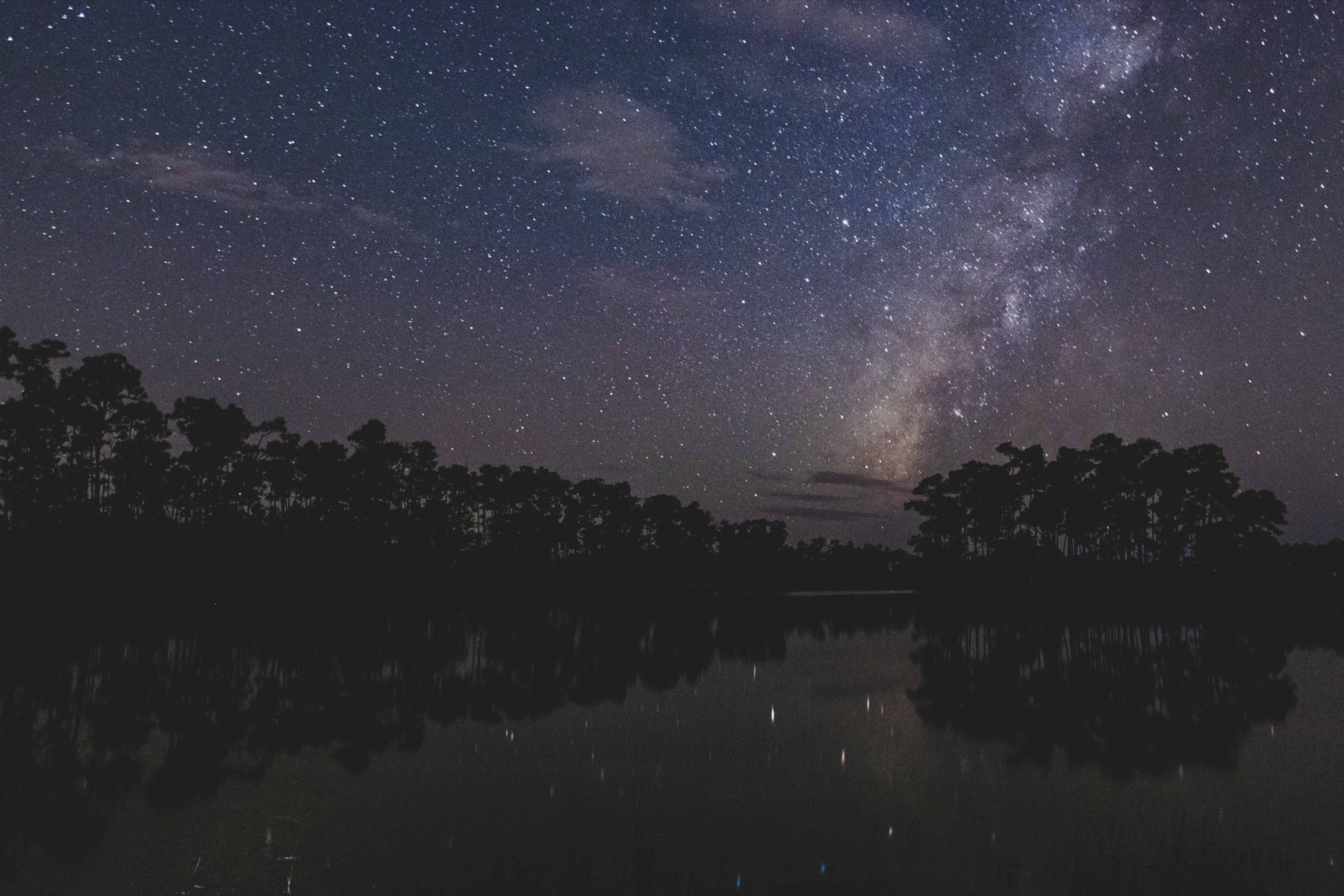 The Milky Way over Long Pine Key in Everglades National Park