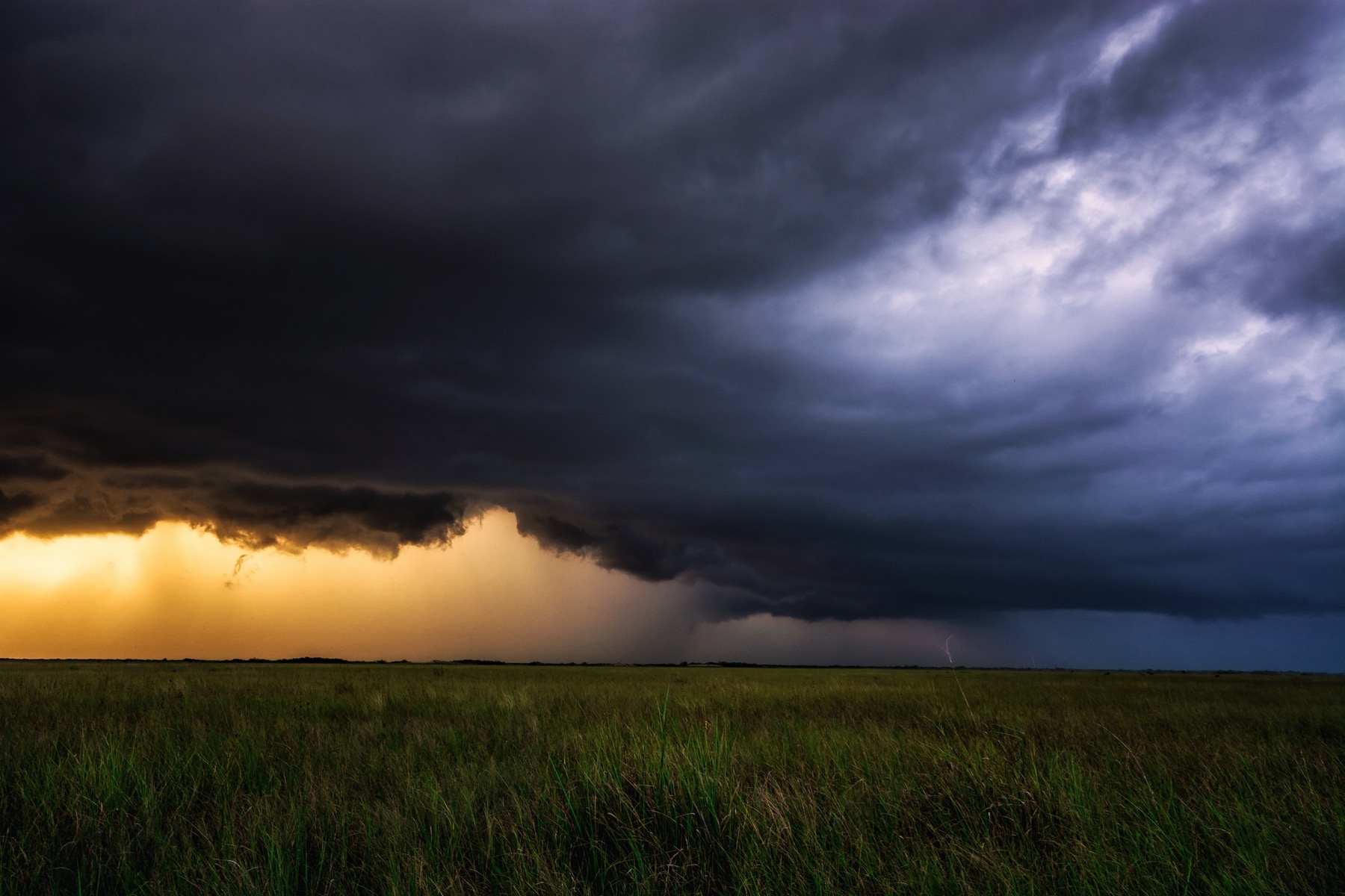 A thunderstorm building over the sawgrass prairie at sunset