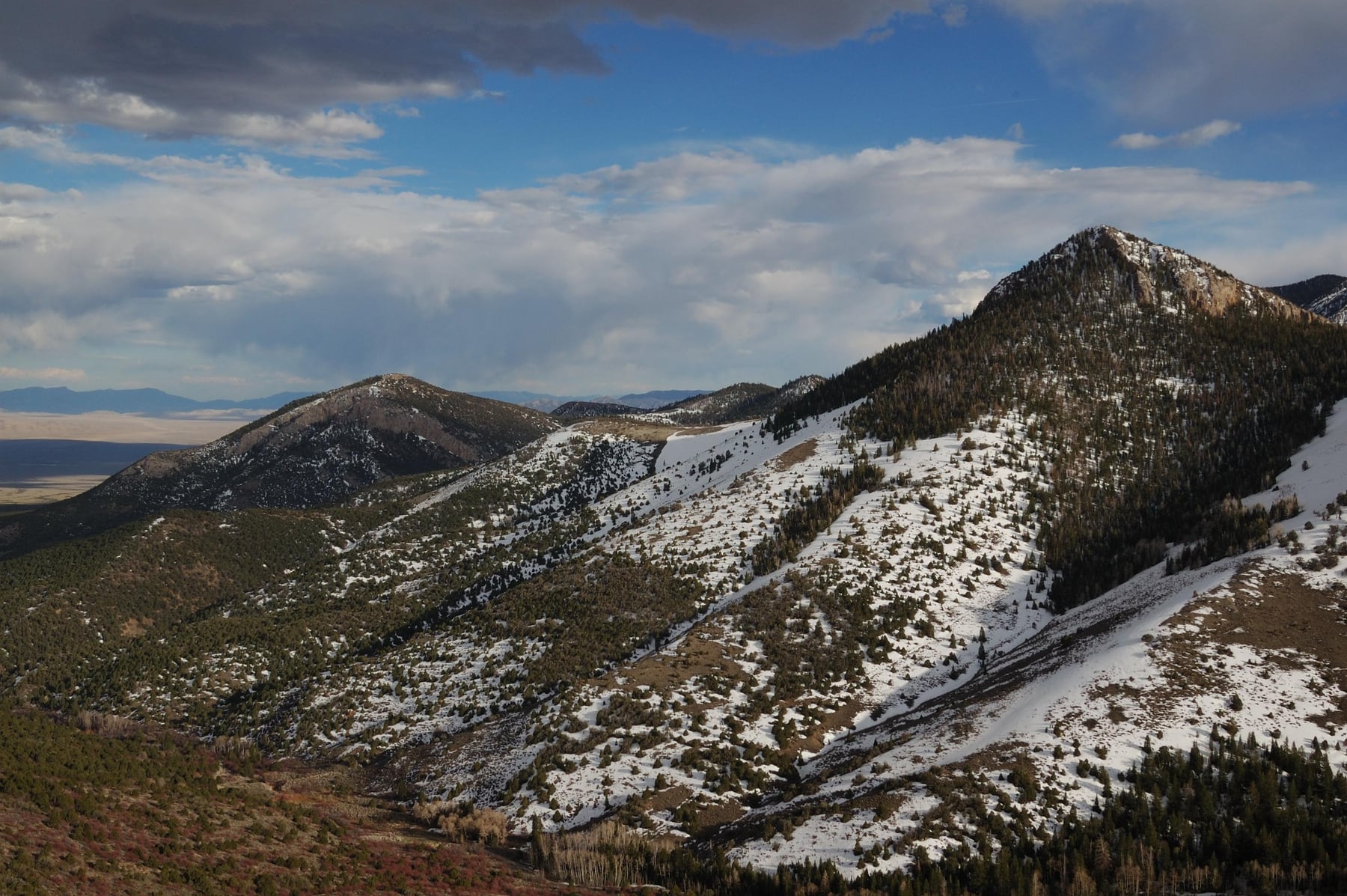 Snow-covered Great Basin mountains above winter forest