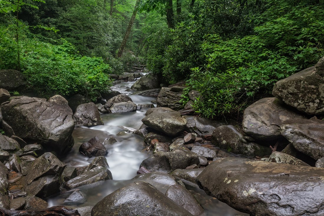 A lush Smokies stream flowing over boulders
