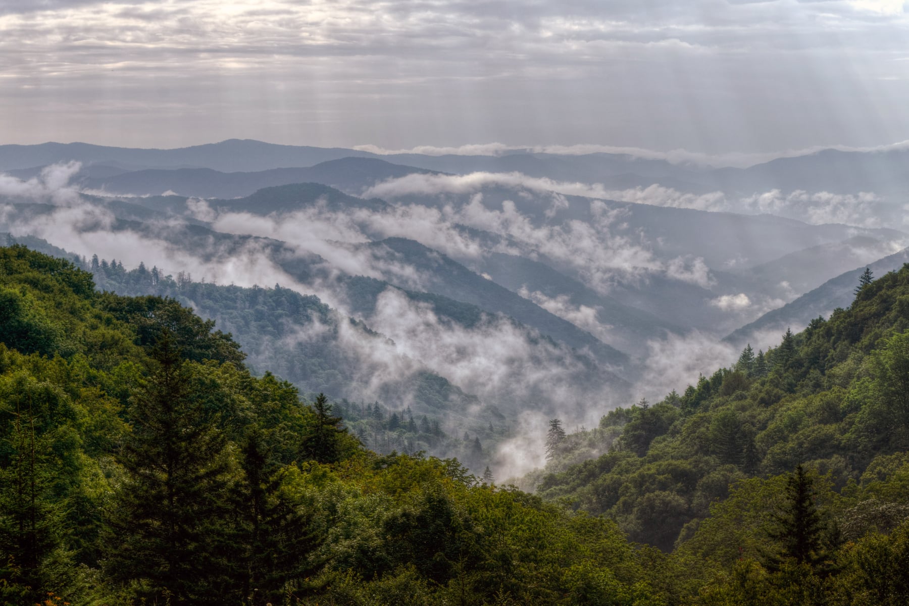 Layered Smokies ridges with mist rising from the forest