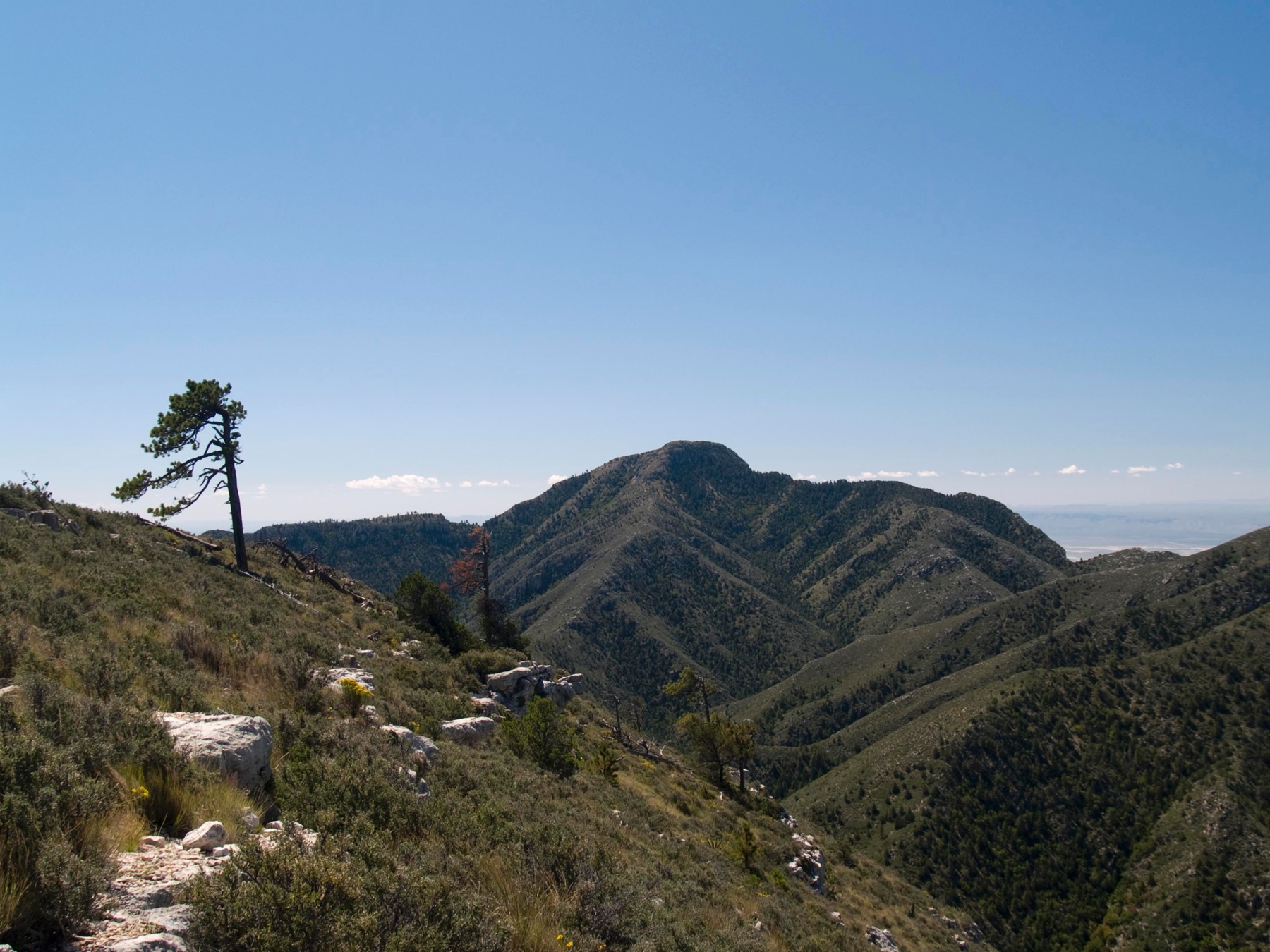 Guadalupe Peak across upper Pine Spring Canyon