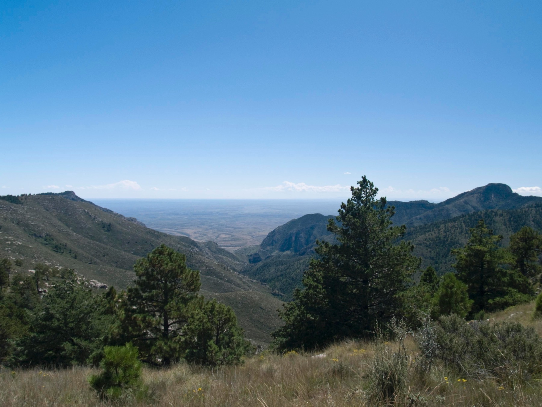 Pine Spring Canyon framed by Guadalupe Peak and Hunter Peak