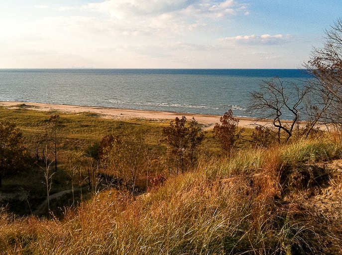 A dune and Lake Michigan view along Cowles Bog Trail
