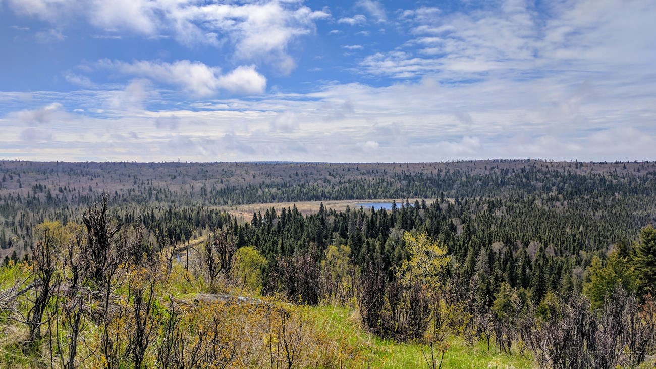 Forest and Lake Superior views from a rocky Isle Royale overlook
