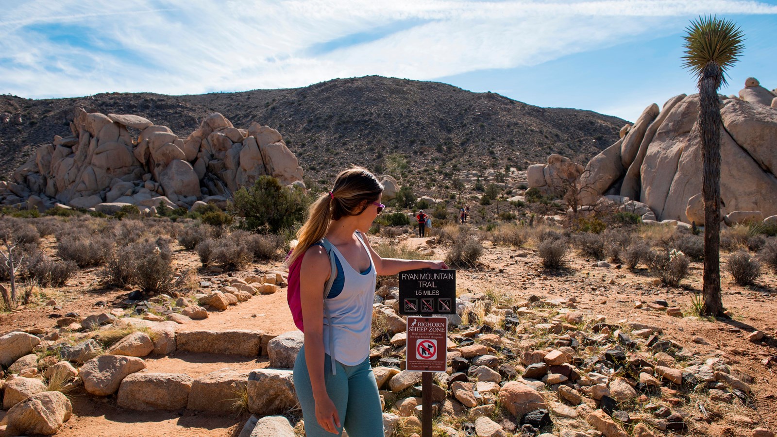The Ryan Mountain trail crossing open desert terrain