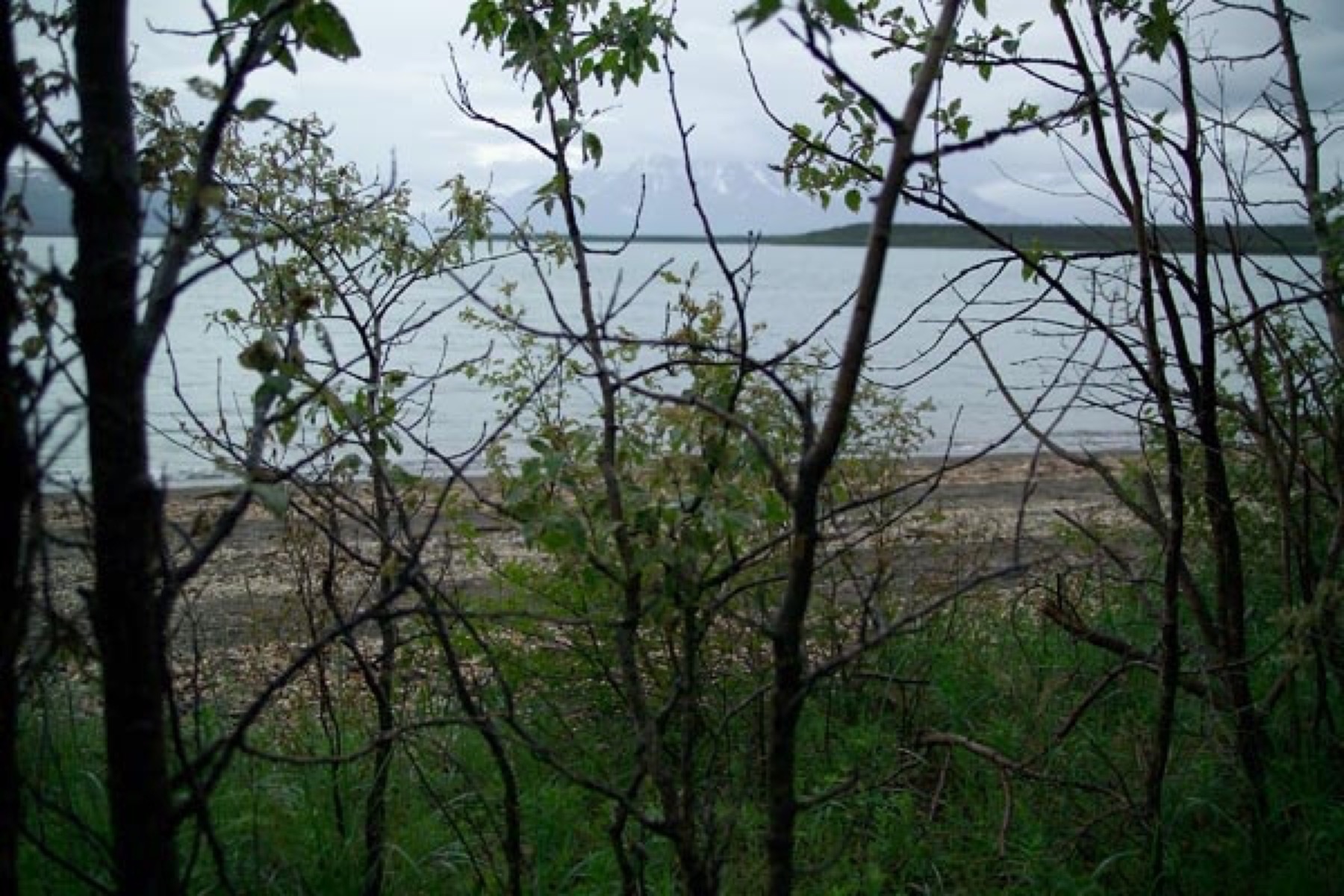 Mount Katolinat seen from Brooks Camp Campground