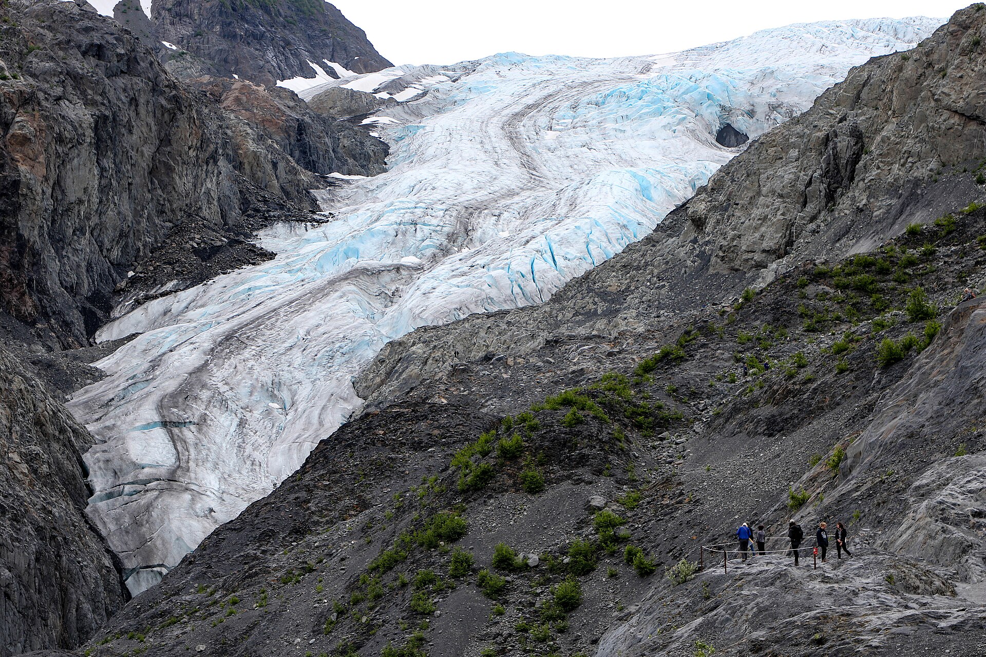 A green fjord and mountain shoreline in Kenai Fjords National Park