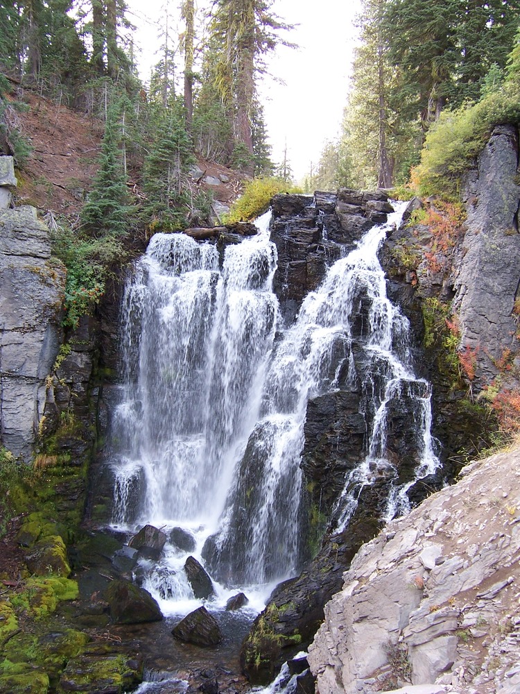 Kings Creek Falls in forested terrain