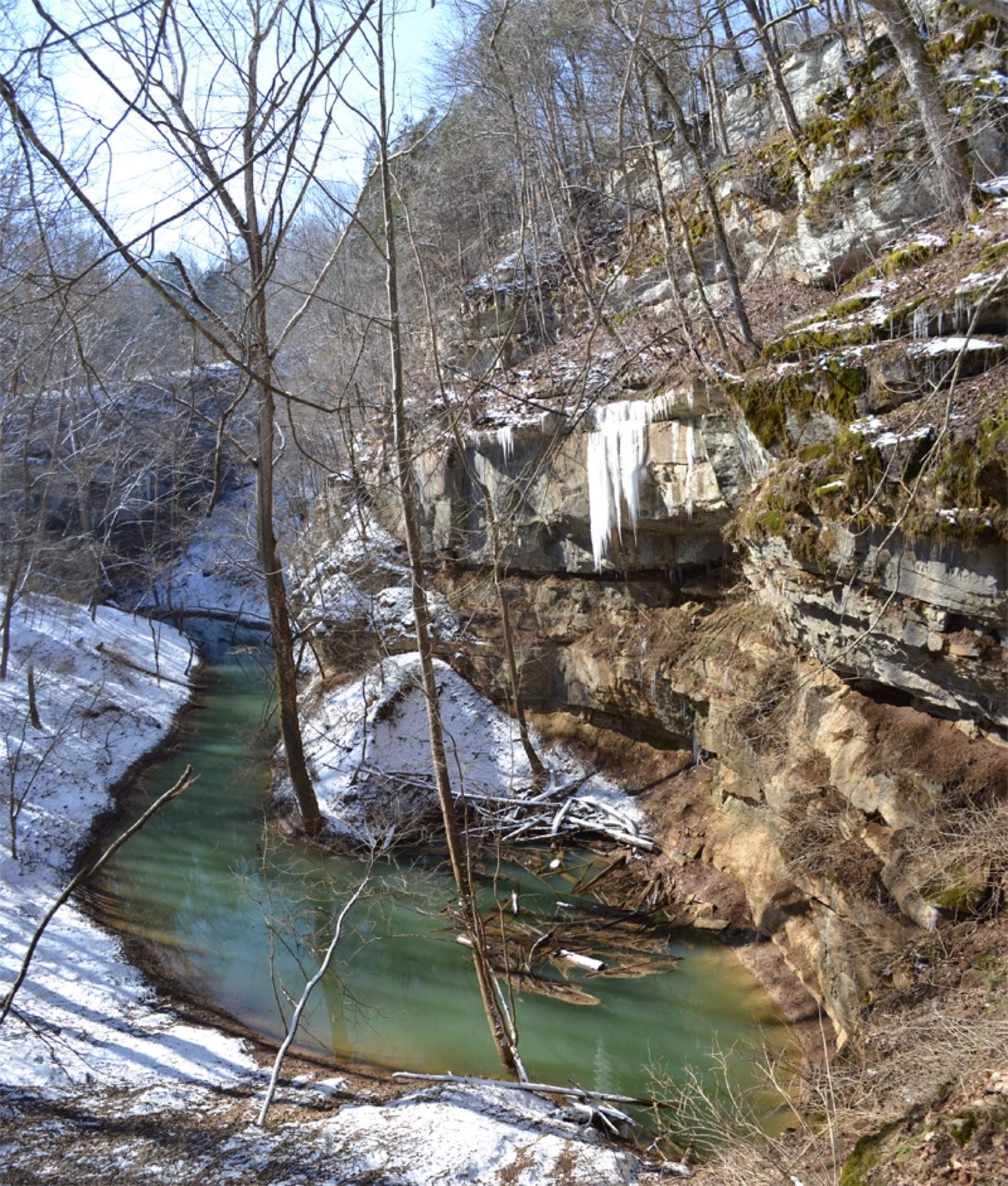 Cedar Sink stream after snow in Mammoth Cave National Park