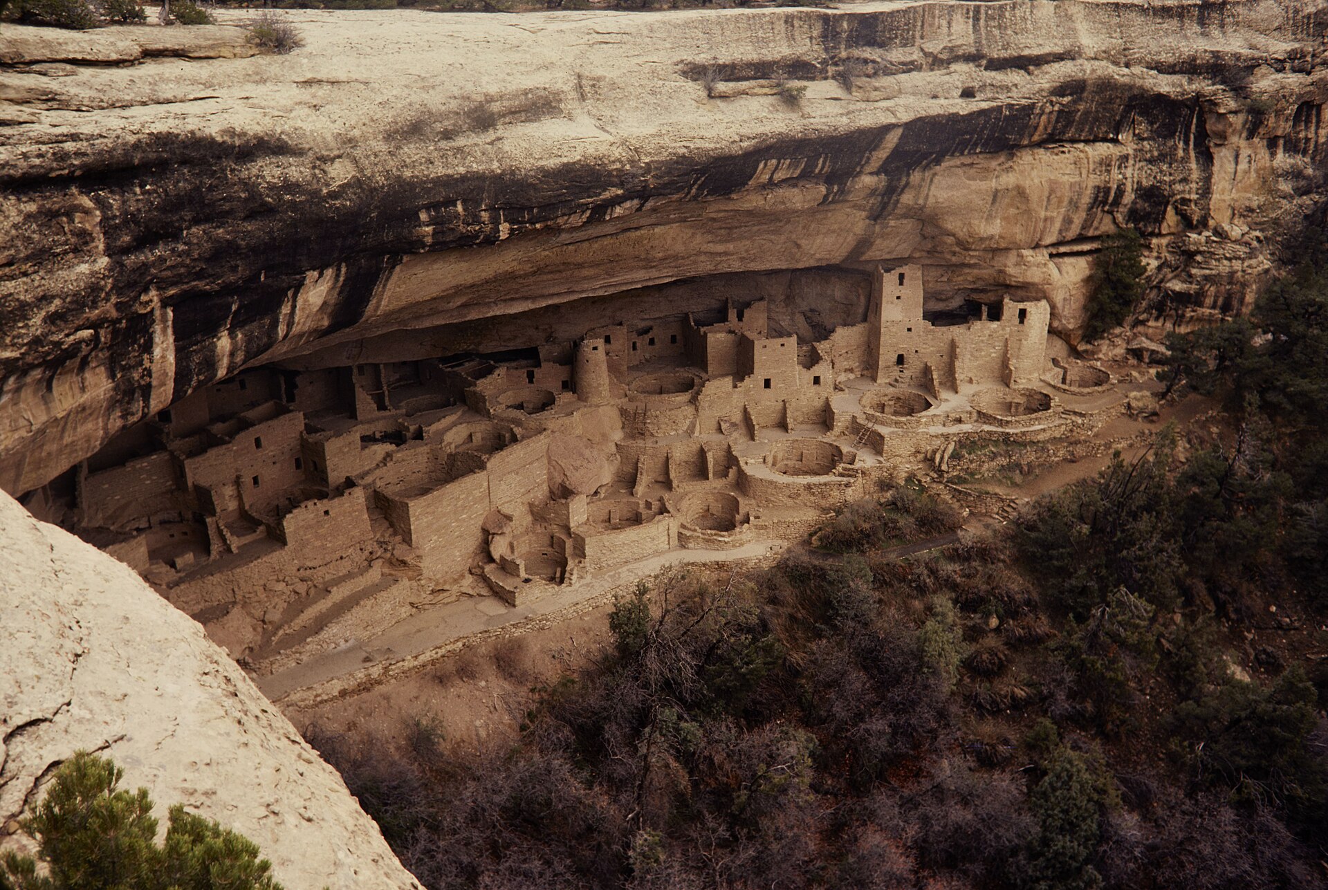 Cliff Palace tucked into a broad sandstone alcove at Mesa Verde