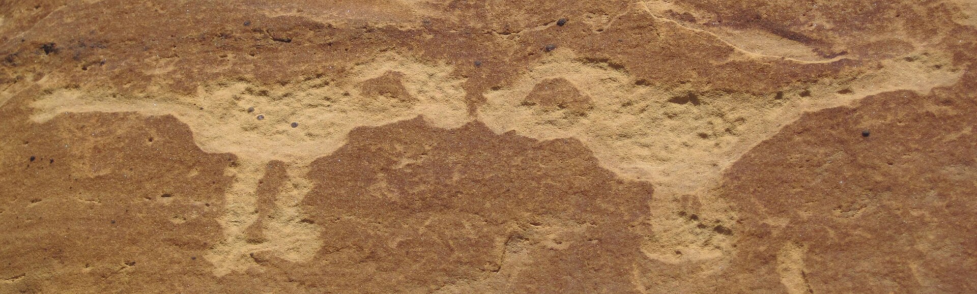 A long petroglyph panel along Petroglyph Point Trail