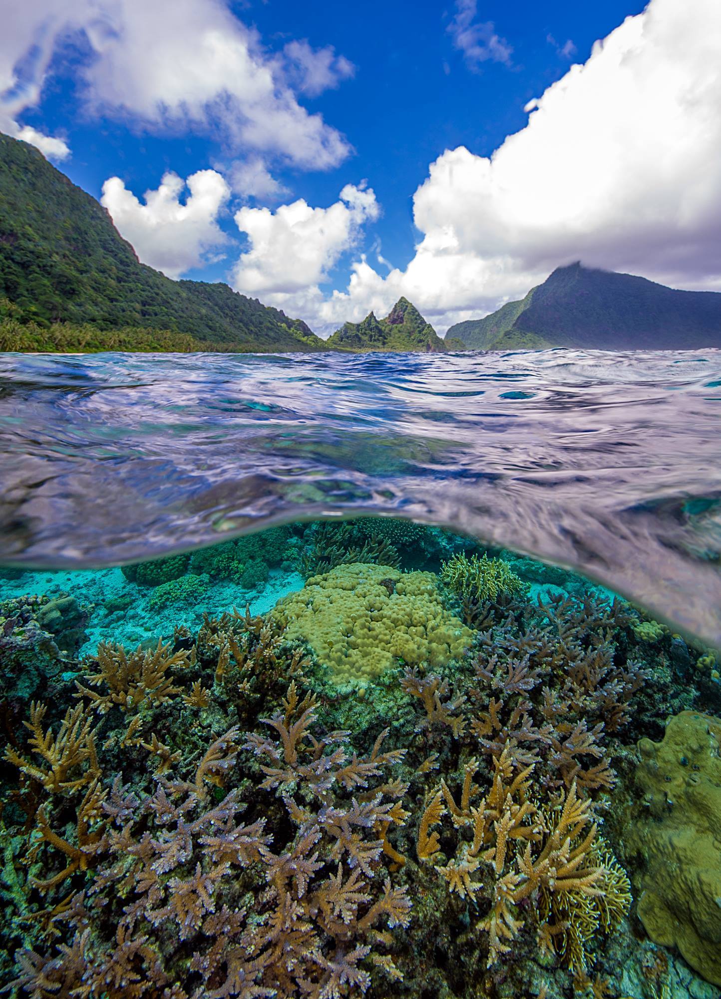 Clear tropical reef water in National Park of American Samoa