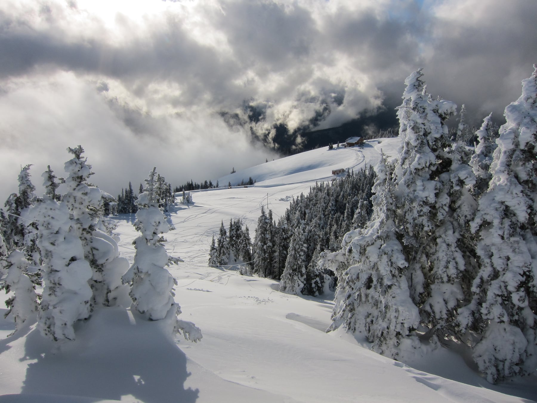 Snow-covered Olympic peaks at Hurricane Ridge