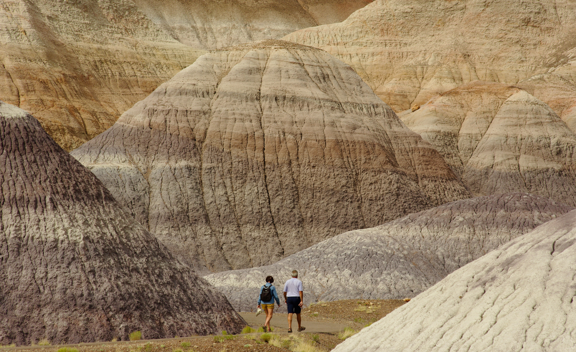 Blue Mesa badlands and petrified wood along the trail