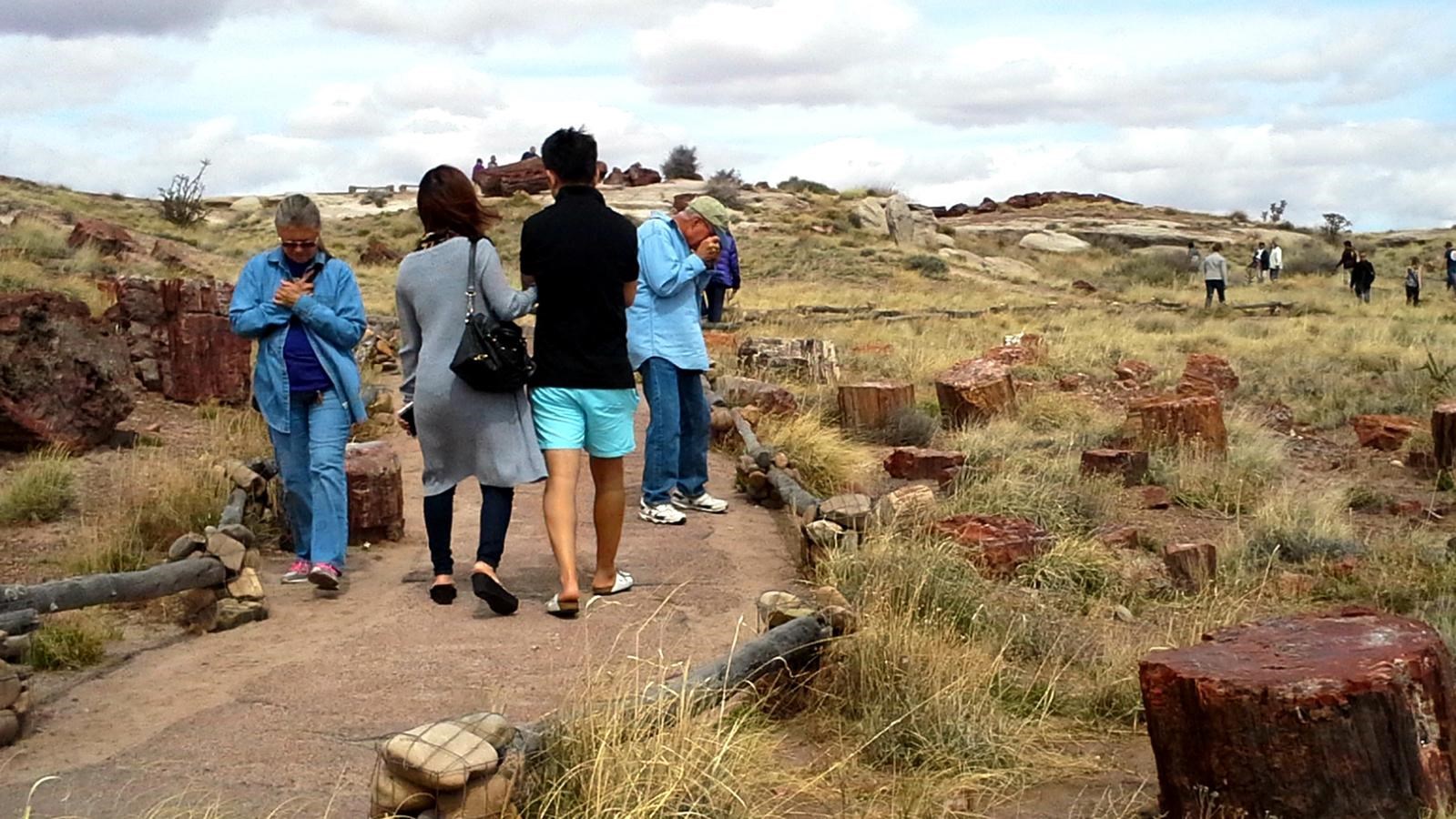 Visitors walking among large petrified logs near Rainbow Forest